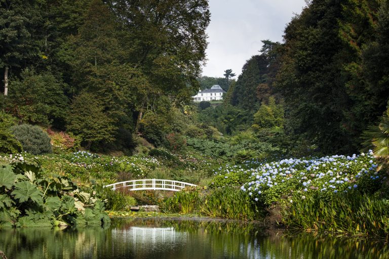 Trebah Garden