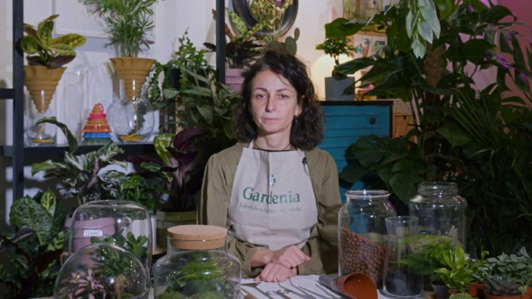Terrarium video corso