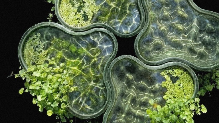 Installazione Nymphaeum Alberto Chiusoli Orticolario