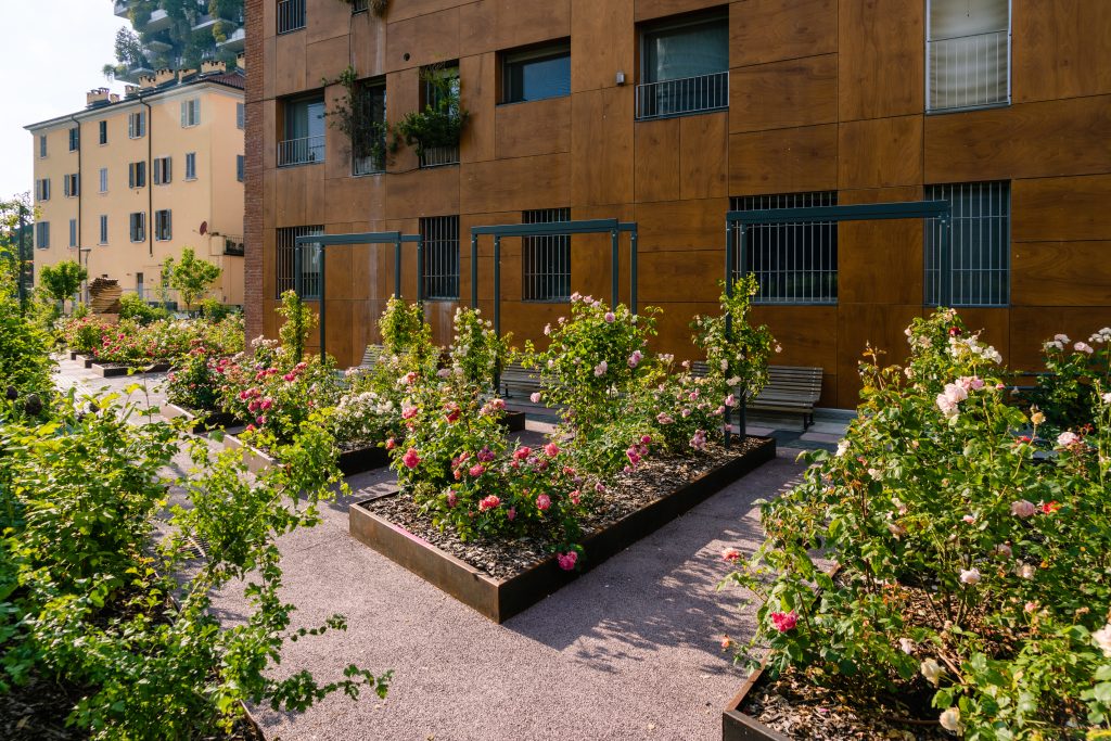 aiuole di rose nel roseto BAM a Milano