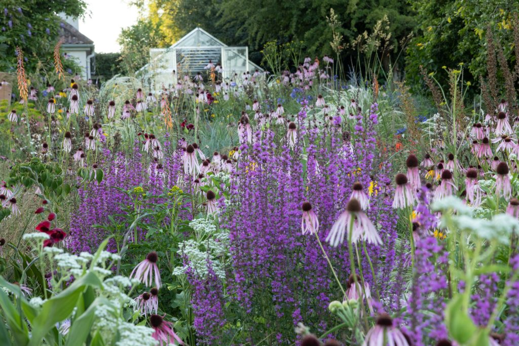 Giardino James Hitchmough