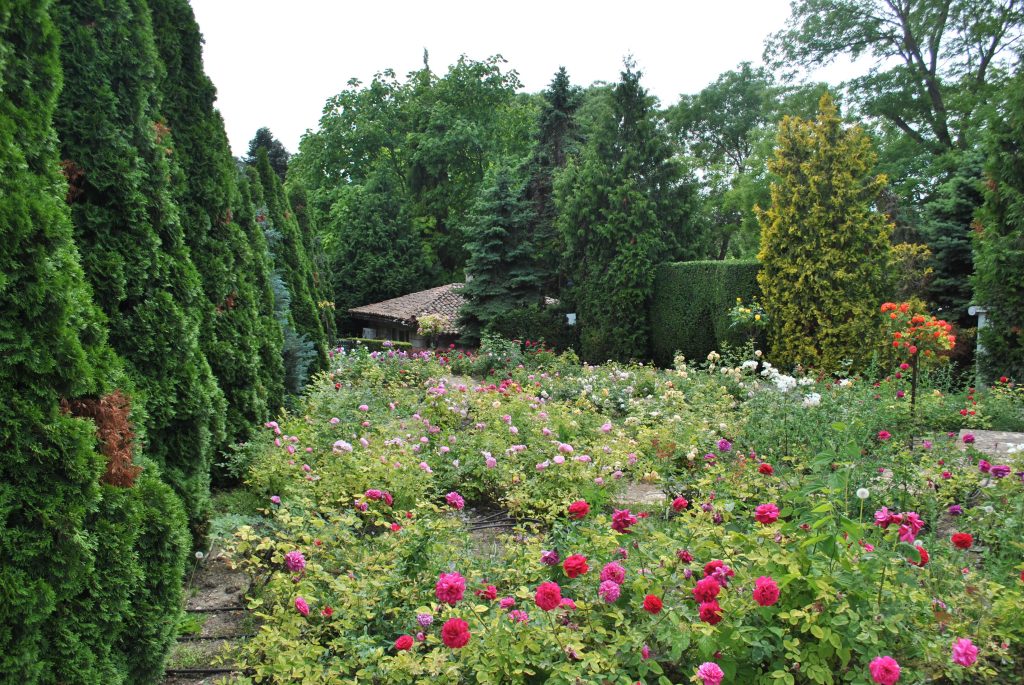 Giardino di rose 