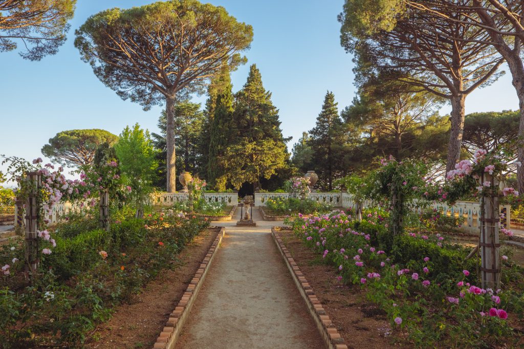 roseto di Villa Cimbrone