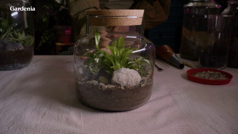Terrarium