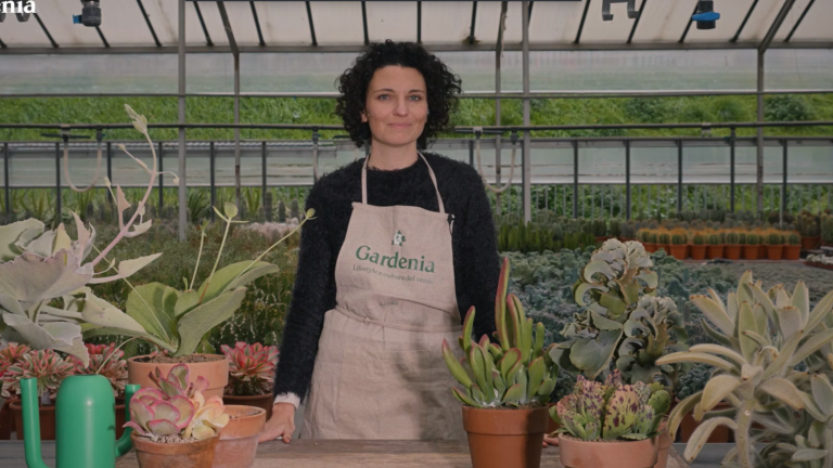 Video corso sulle Kalanchoe