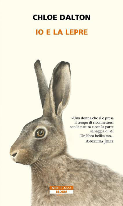 Copertina io e la lepre di Chloe Dalton