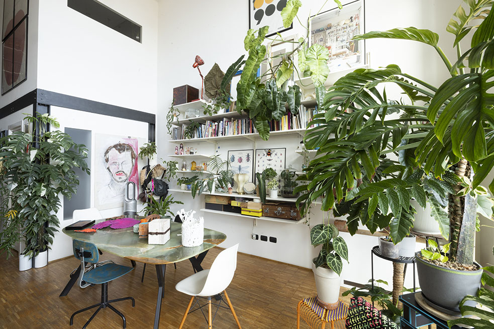 Open space con piante da interno