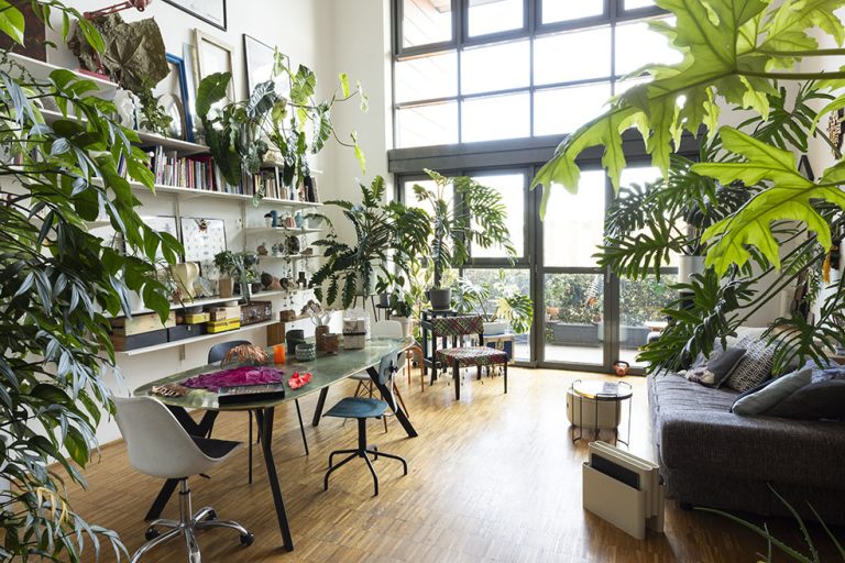 open space con piante da interno