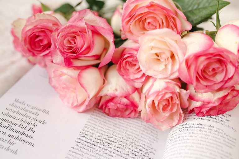 rose su pagine di libro