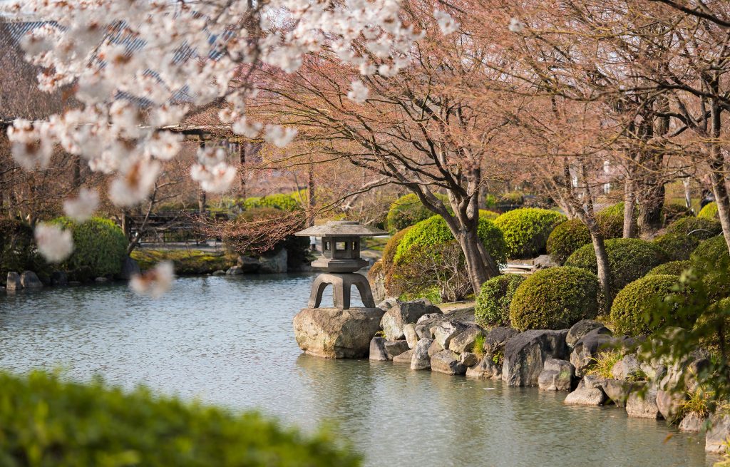 Scorcio di un giardino giapponese con lanterna e ciliegi in fiore - Foto Pexels