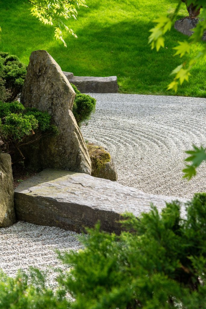 Un giardino poco affollato, dove gli elementi sono distanziati tra loro da grandi vuoti - Foto Pexels
